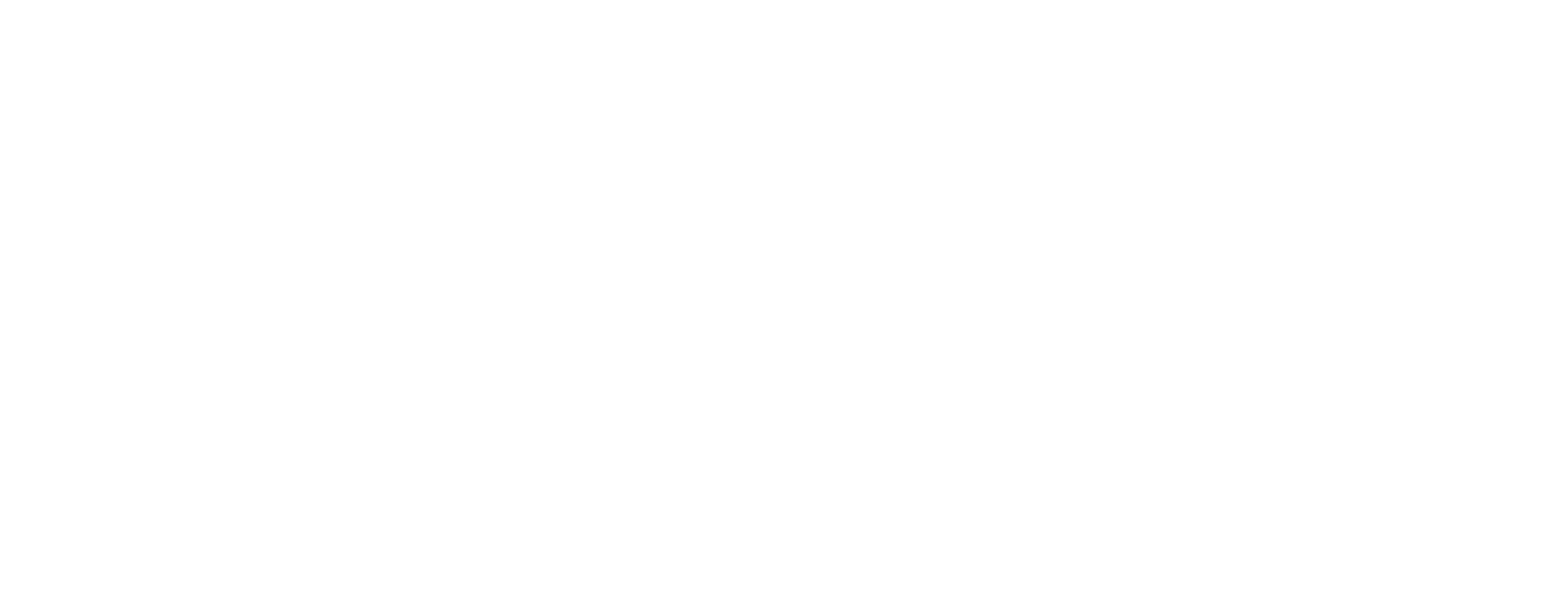 EveronAI logo